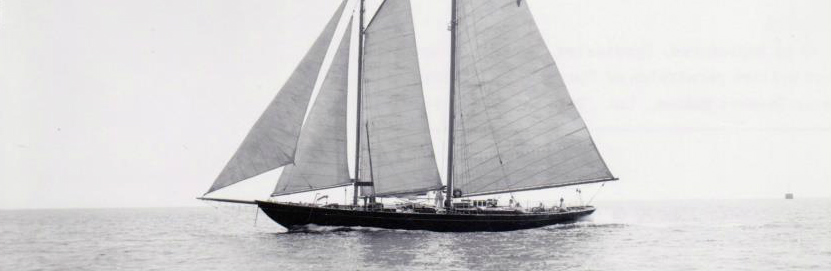 Kelpie-starboard-readh