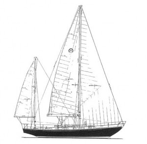 bermuda40profile